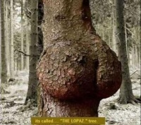 Nature Sex Art7